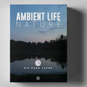 AMBIENT LIFE Nature